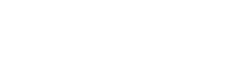 Turbo Partners